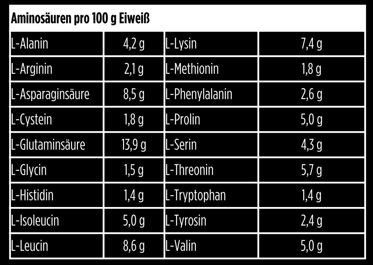 Whey Protein - Premium Whey Protein Vanille - 1.000g